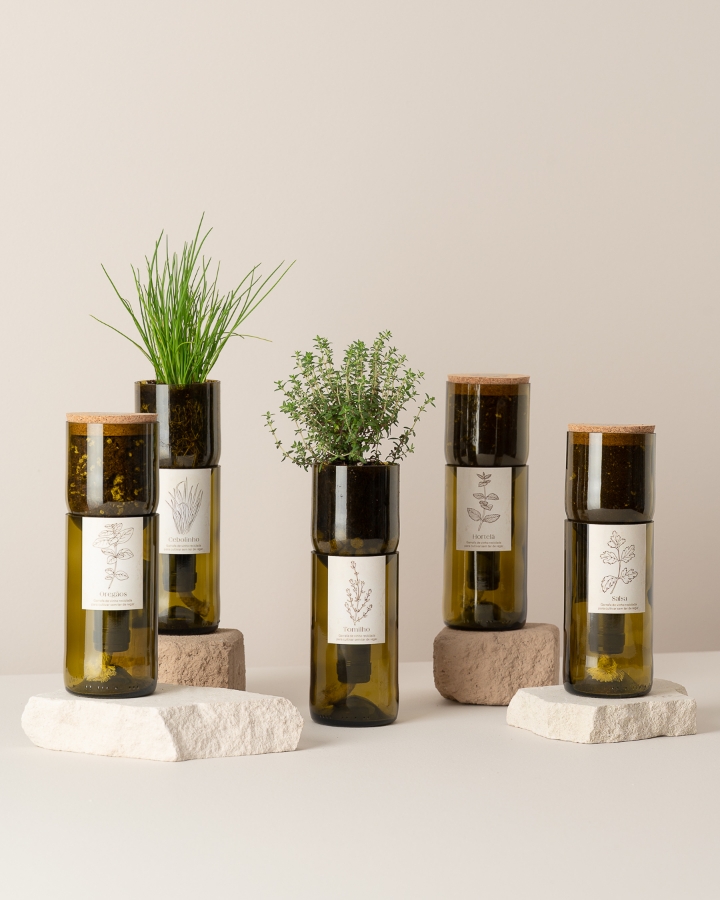 Imagem de Grow Bottle Coentros